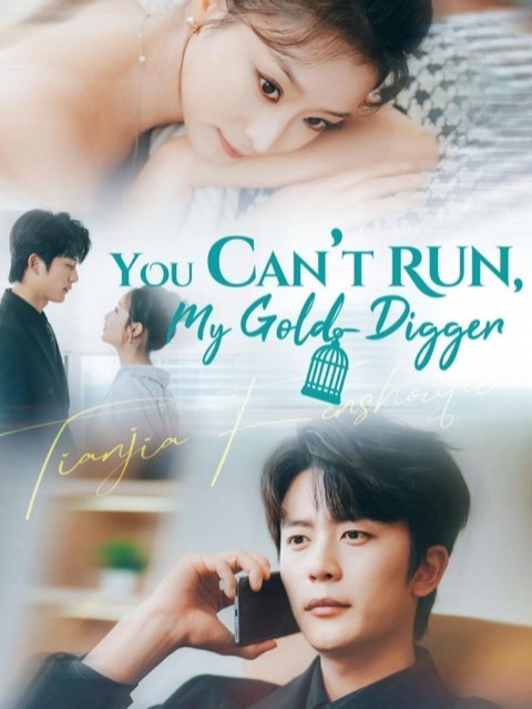 You Cant Run My Gold Digger