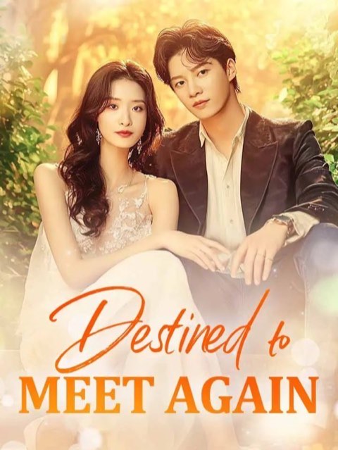 Destined to Meet You Again