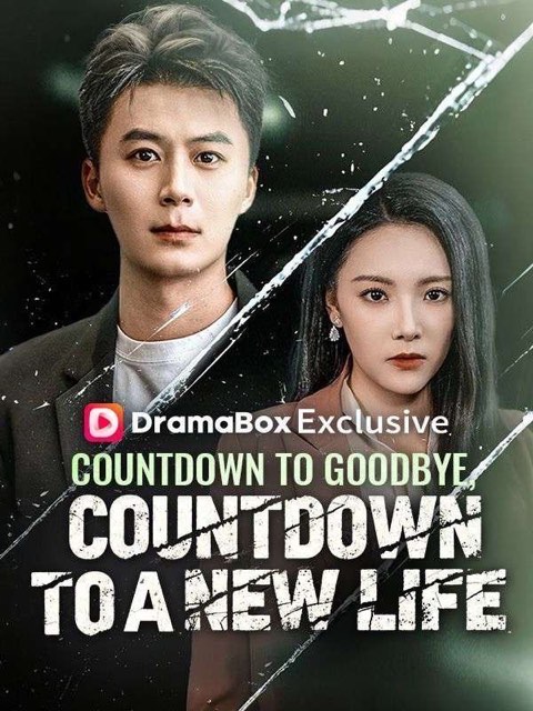 Countdown to Goodbye Countdown to a New Life