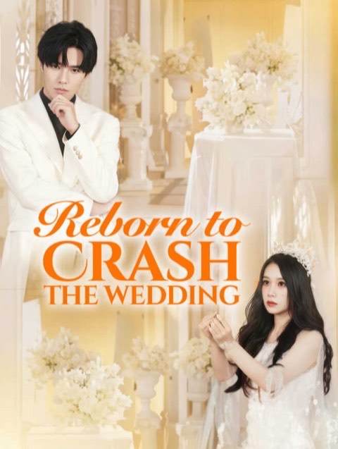 Reborn to Crash the Wedding