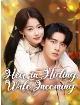 Heir in Hiding, Wife Incoming