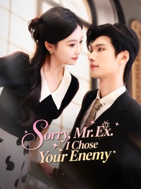 Sorry Mr Ex I Chose Your Enemy