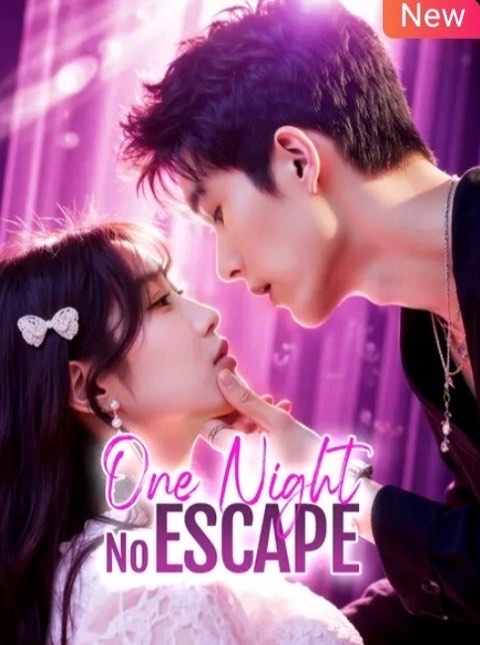 One Night No Escape