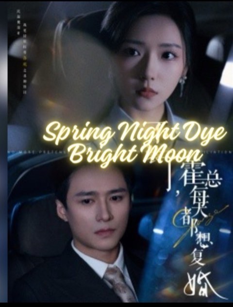 Spring Night Dye Bright Moon / Laws And Whispers